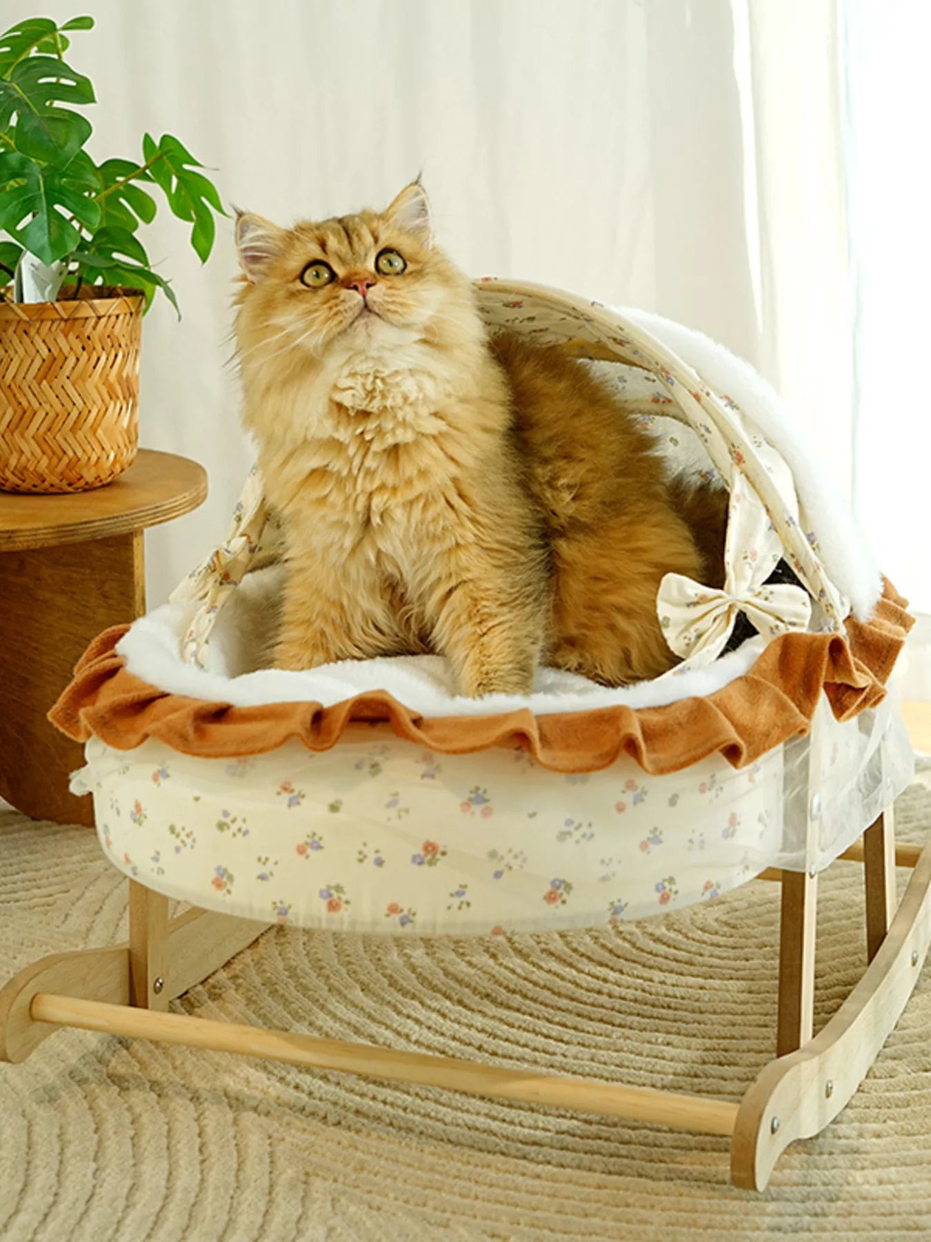 00911156020547dbb9fd34be3305ddb9-Max-Origin