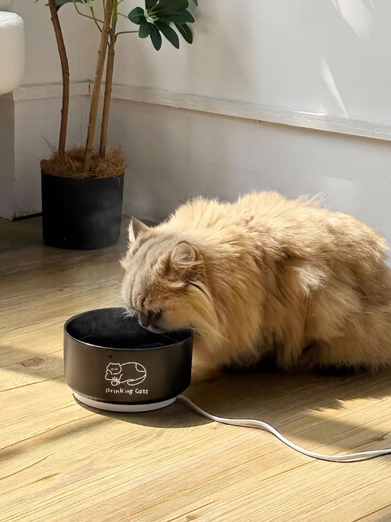 01d35f43-87e2-4a69-8402-52fe7c69681c-Max