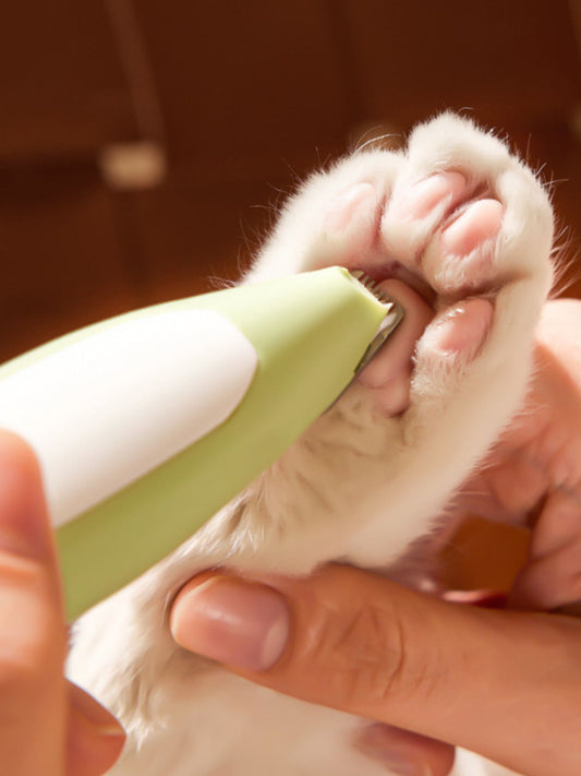 56010b9f-598a-44c1-8774-3de187293668-Max