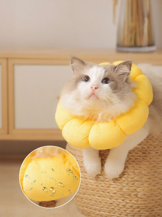 58efdf21-a7d9-425a-9ae5-65c1113a3c98-Max