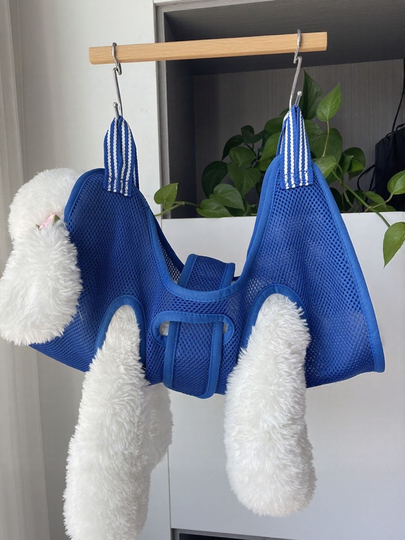 650afdda-3f89-4f36-8f3b-c5a15556277f-Max