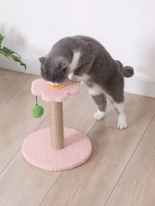 7ded056268444d7b956a75955135e824-Max-Origin