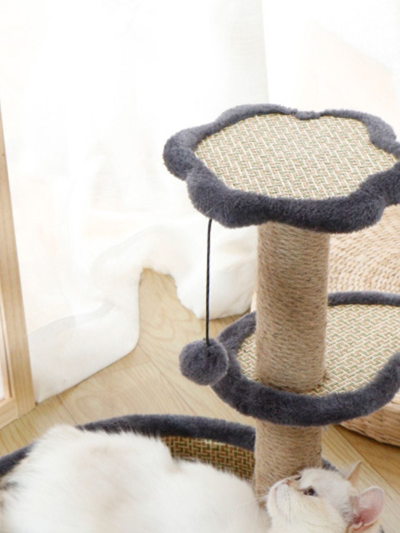 9fd31e7c-9403-47ea-bda2-6780609f179e-Max