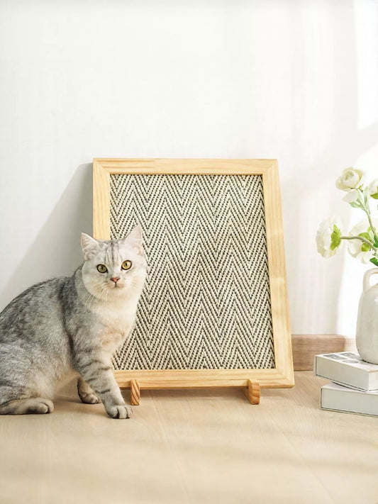 bd96b8b8-3382-45cc-8ea6-a7c80b579061-Max-Origin