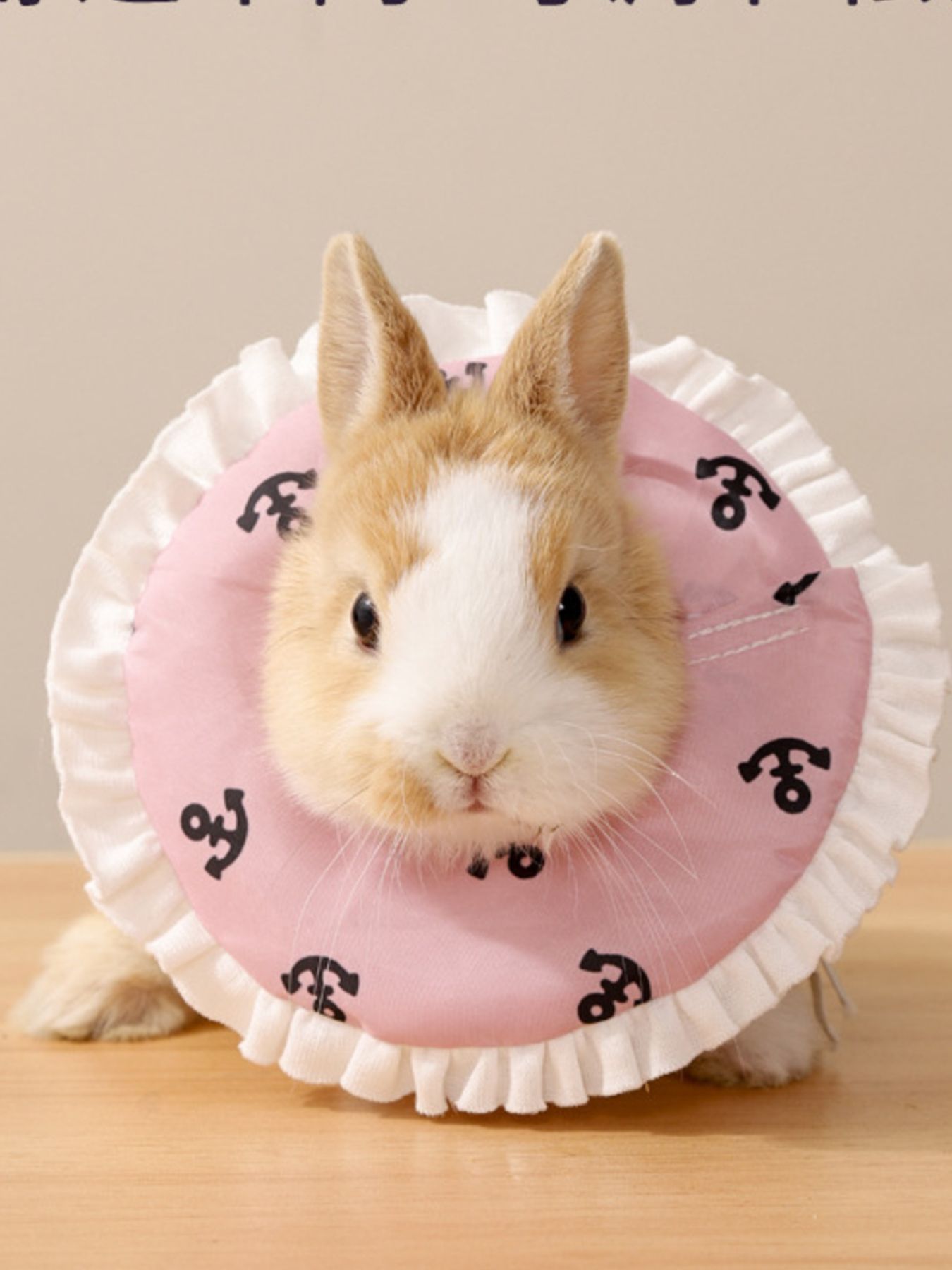 d8f3c47c-ed2d-4846-a2f2-05fabdf9e846-Max